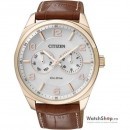 Ceas Citizen ELEGANT AO9024-16A Eco-Drive