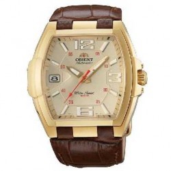 Ceas ORIENT Sporty Automatic FERAL002C0 imagine mica