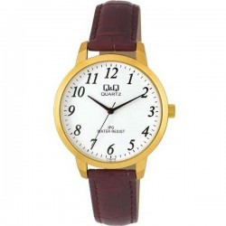 Ceas Q&Q Elegant C154J114Y imagine mica