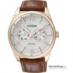 Ceas Citizen ELEGANT AO9024-16A Eco-Drive imagine mica
