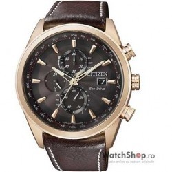 Ceas Citizen ELEGANT AT8019-02W Eco-Drive imagine mica