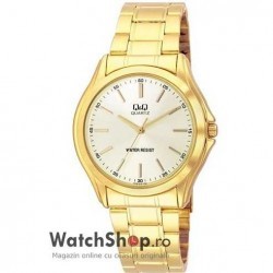 Ceas Q&Q STANDARD Q118-010Y imagine mica